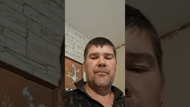 заготовка грибов на зиму в морозилке. смотреть онлайн