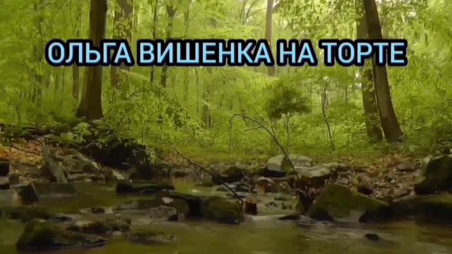 САМИ ВИНОВАТЫ. ОЛЮНЯ И КОТЮНЯ. ОБЗОР ВЛОГА. смотреть онлайн