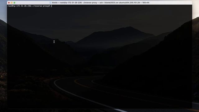 Thiết lập Nginx Reverse Proxy để triển khai nhiều ứng dụng sử dụng Docker / Kiên Lê TV смотреть онлайн
