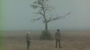 Челентано договаривается с воронами)