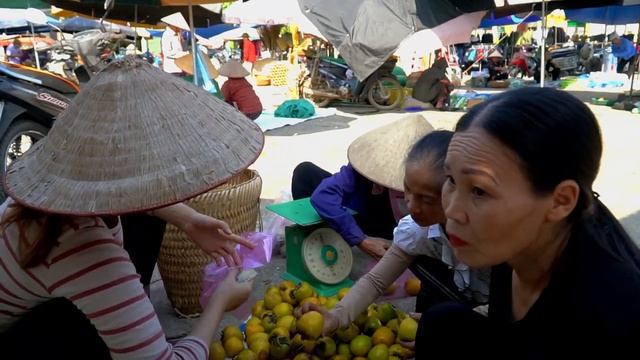 My Free Life Harvesting Kumquats fruit goes Market Sell, Buying Pigs to take care , Building a Farm смотреть онлайн