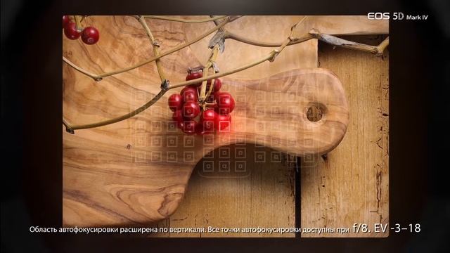 Видеообзор фотоаппарата Canon EOS 5D Mark IV смотреть онлайн