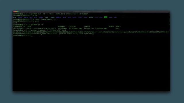 Using Volumes for Podman Container Storage on Oracle Linux смотреть онлайн