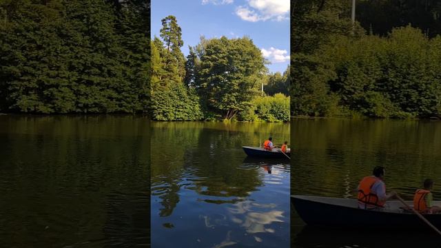 Вокруг столько красоты,а мы ее не замечаем 🤷♂️ #shorts смотреть онлайн