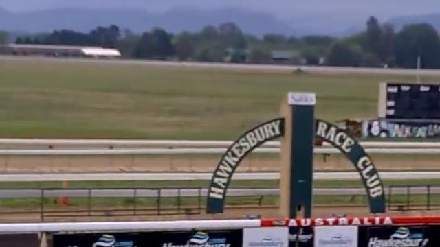 lucky owner viedo 1 смотреть онлайн