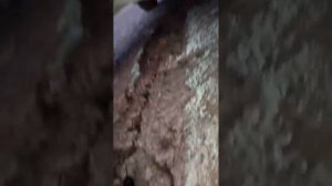 Как подсоединить розетку фаркопа на Газ Соболь, Баргузин ,Газель.