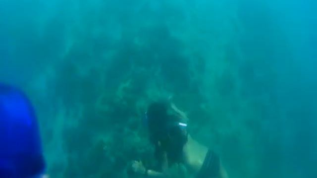 swim swam swum смотреть онлайн