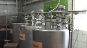 производство сметаны