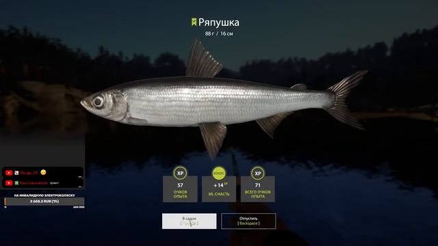 Русская Рыбалка 4. На рыбалку, с утречка. В поисках хариуса, оз. Куори. (#RussianFishing4)