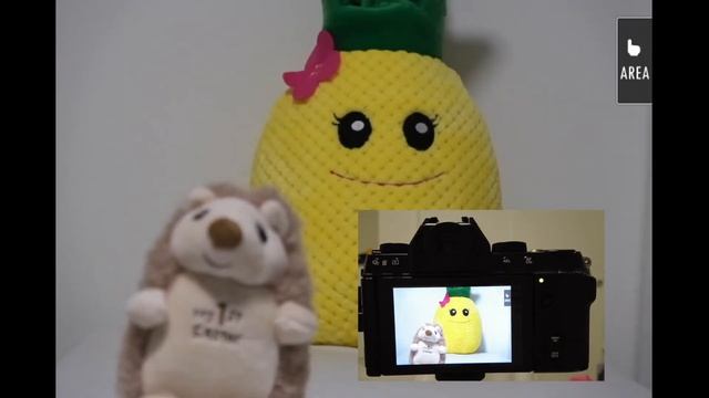 Fujifilm X-S10 Tutorial: Touch Operations смотреть онлайн