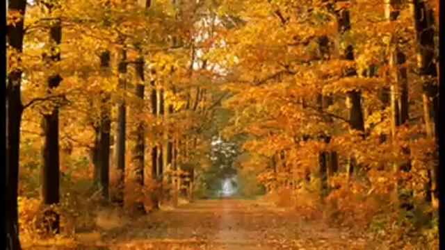Heart Sutra Mantra смотреть онлайн