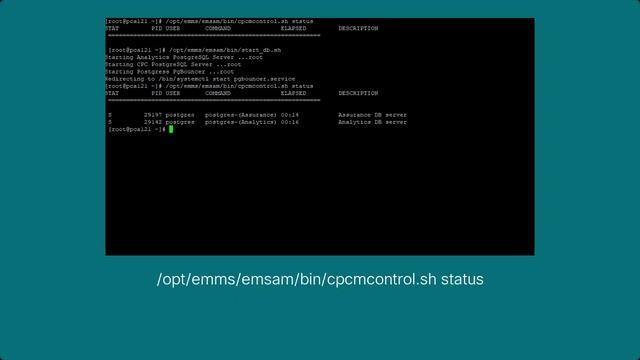 PCA 12.1 DB Vacuum смотреть онлайн