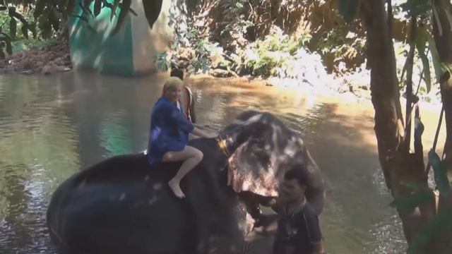 Маленький мальчик в речке купался, слон с его мамой рядом плескался смотреть онлайн