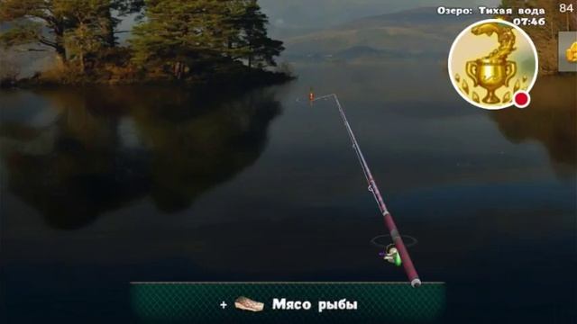 ПРЕДЕЛЬНЫЙ СТРИМ!!! ЭКСПЕДИЦИЯ на Озере!!! World of fishers. Мир рыбаков. смотреть онлайн