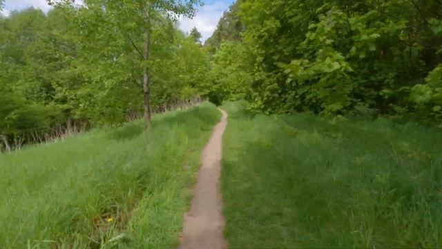 Велопрогулка на Лохин остров смотреть онлайн