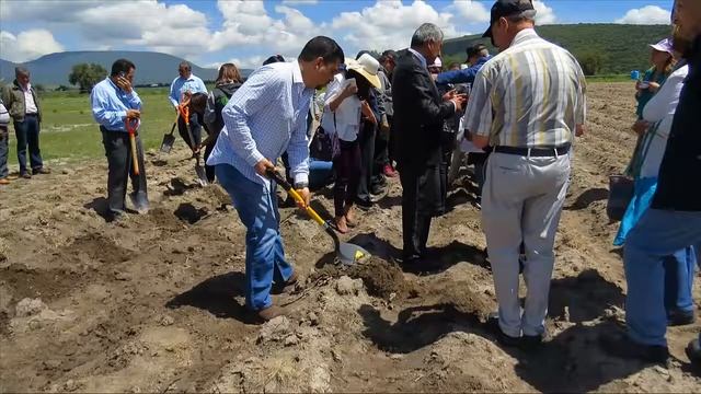 Sembrando el Miscanthus Giganteus смотреть онлайн