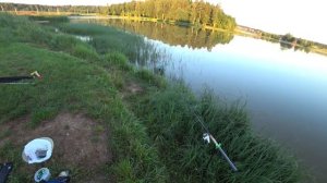 Голодный Карп. Ночная рыбалка в Дурыкино.