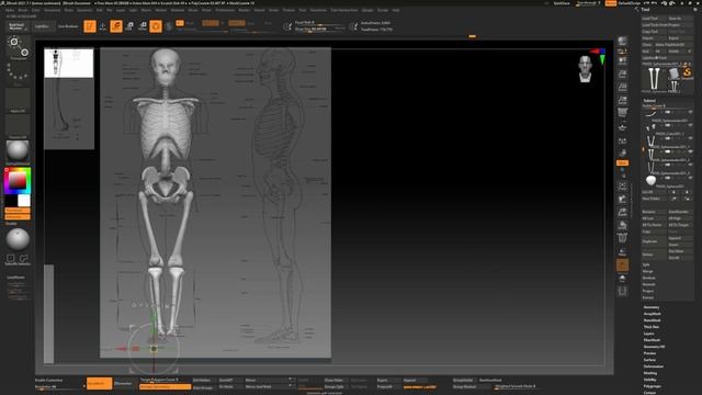 11. Adjusting Proportions