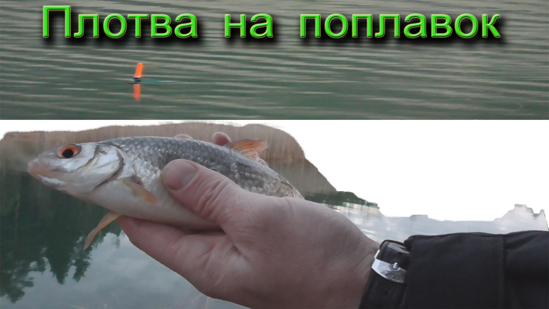 Ловля плотвы на поплавок.mp4 смотреть онлайн
