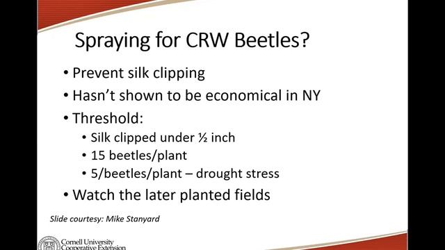 Neo-nic Seed treatment and Use of Parasitic nematodes for Corn Root Worm Control in Northern NY смотреть онлайн