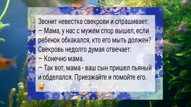 Невестка звонит к свекрови..АНЕКДОТЫ для настроения #анекдоты #сборниканекдотов #подборкаанекдотов смотреть онлайн