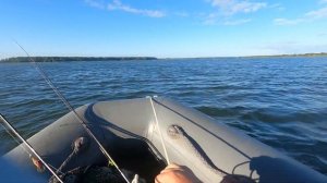 озеро Уткуль Алтайский край 2022 август