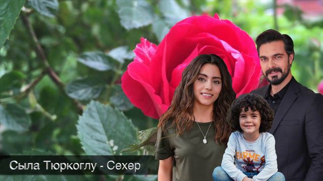 Новости которые Сыла Тюркоглу скрыла от всех! смотреть онлайн