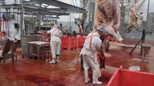 МПК Деликатесы