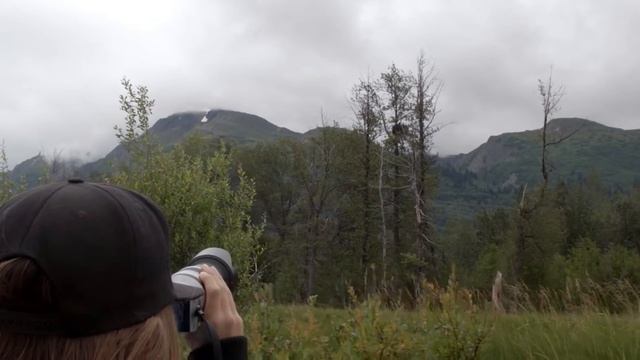 Jet Boat Adventure and Haines Highlights смотреть онлайн