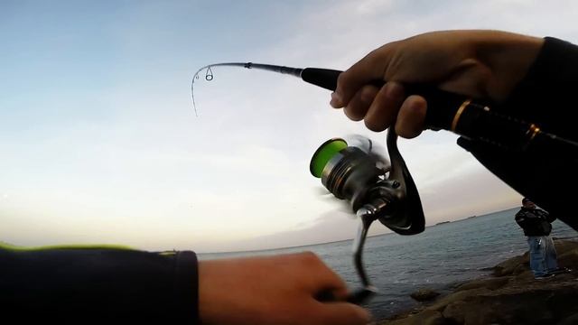 Shore game Little Tunny | Erez Cohen Spinning Fishin | דייג | טונית מהחוף смотреть онлайн