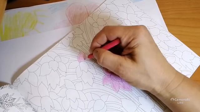 Прямой эфир /кубинский зоопарк/антистресс! смотреть онлайн