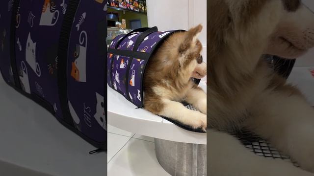 уезжаю жить в сочи