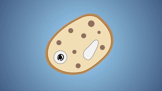 Fermentation of Yeast & Sugar - The Sci Guys: Science at Home смотреть онлайн