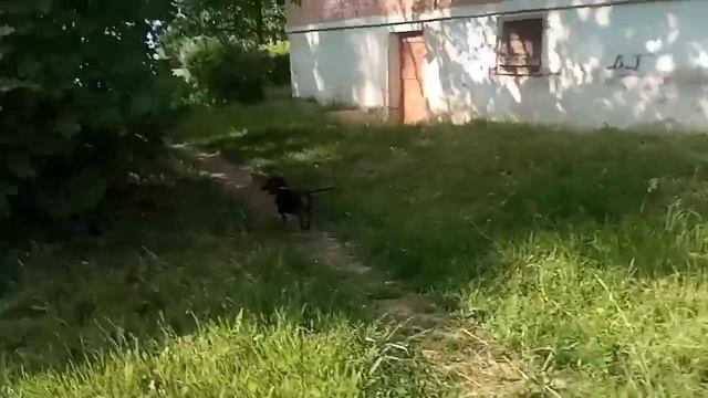 гуляем с Валасияй смотреть онлайн