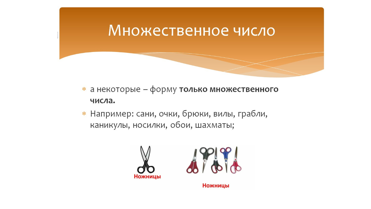 Правописание слов-названий предметов во множественном и единственном числе. Русский язык 2-3 класс. смотреть онлайн