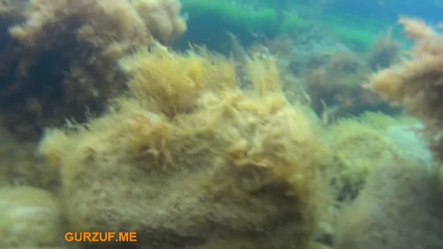 Гурзуф : дайвинг : Черное море : дикий пляж : Крым смотреть онлайн