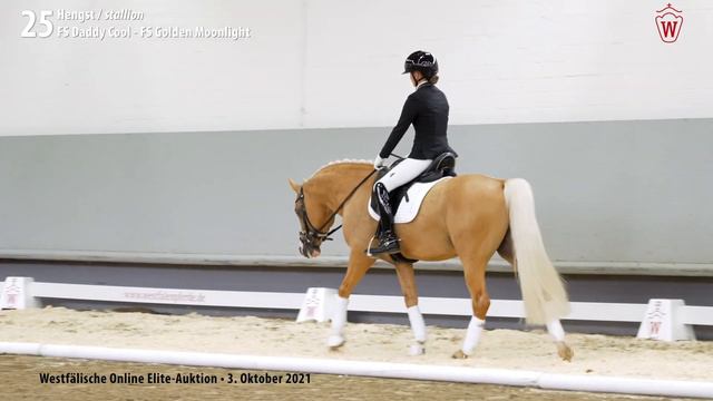 Online Elite-Auktion Lot 25 Diamond Blue Hengst v. FS Daddy Cool - FS Golden Moonlight смотреть онлайн