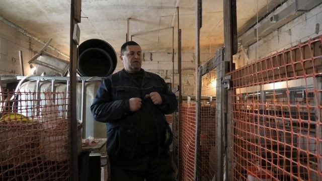 расклëв у кур каралы и супер ник 2 смотреть онлайн