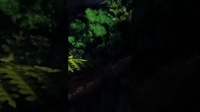 Атмосферное озеленение помещение смотреть онлайн