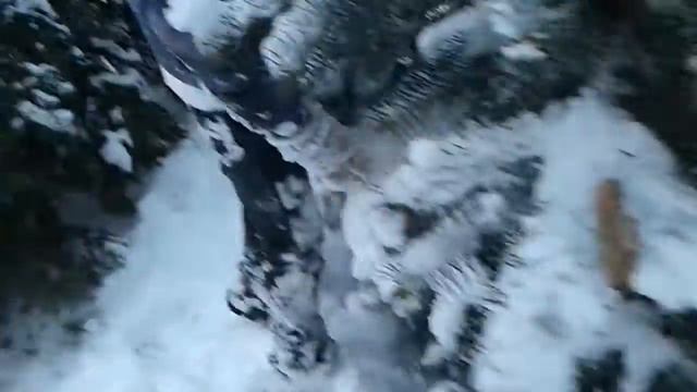 16 января 2017 г. смотреть онлайн