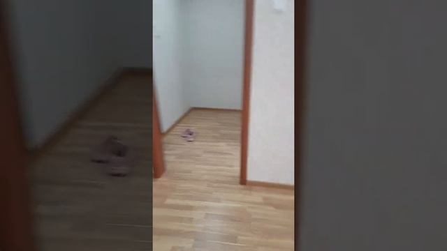 Ворошилова 9, 1к квартира на 1 этаже смотреть онлайн