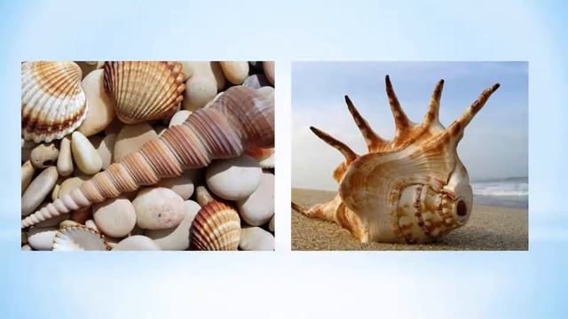 Фотоальбом в PowerPoint Художественное оформление фотоальбома в PowerPoint смотреть онлайн