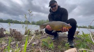 Ловля крупного линя в мае… 2023!