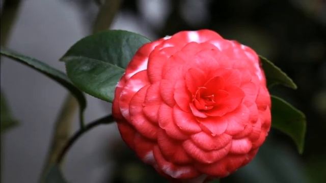 ?Смысл жизни-ченнелинг смотреть онлайн