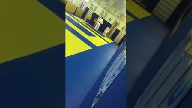 Дзюдо это Элина смотреть онлайн
