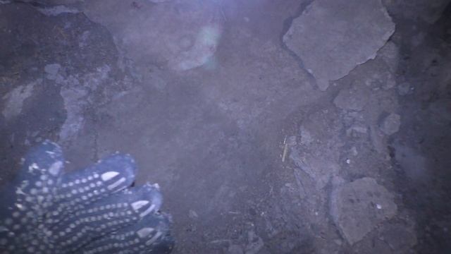 Купили дом. Разбираем завалы в сарае. Наводим порядки. смотреть онлайн