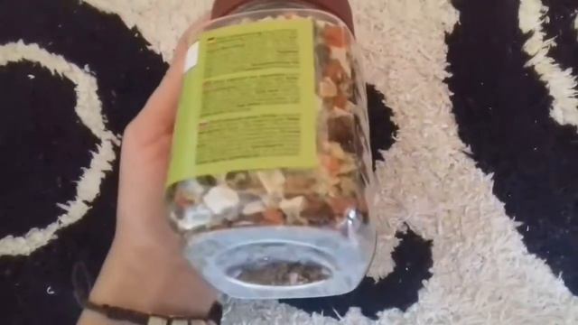 Ручной хомячок роборовского смотреть онлайн