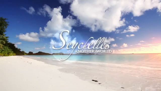 Звериный мир: дружба и приключения