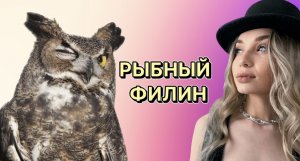Животный мир. Рыбный филин.