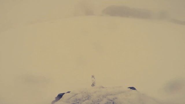 CC Gloucestershire Going Large смотреть онлайн